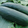 Okurka salátová Obelix F1 – Cucumis sativa – osivo – 20 ks