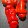 Chilli Red Peter Penis Pepper semínka 10 ks